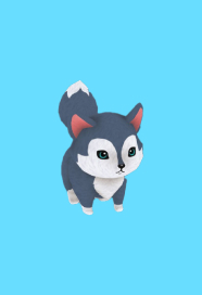 pet
